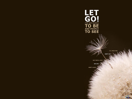 Let Go - saying, dandelion, to be, to see