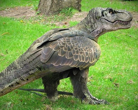 EAGLE REX