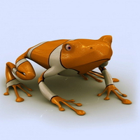 Orange and White Frog