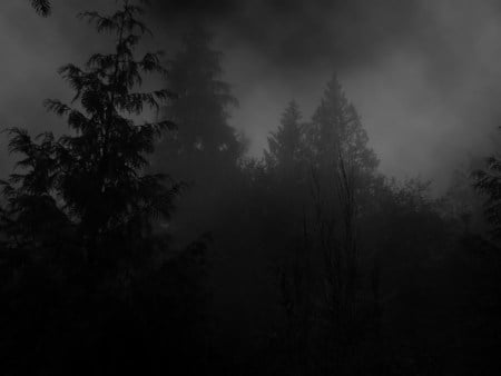 Depressive Forest - dark, grey, grim, depressive forest, black