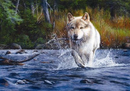 Water running - painting, running, water, wolf