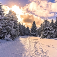 Winter in Germany