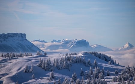 Grand Nord - France, trees, winter, snow, mountains