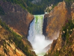 Lower Falls of the Yellowstone River, Yellowstone National Park