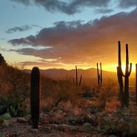 Tucson Arizona