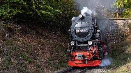 Locomotive Dampfolk 997247-2 - 997247-2, Dampfolk, locomotive, Germany