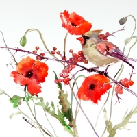 Bird and poppies