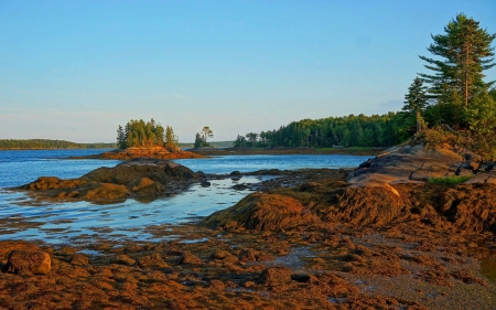 Cobscook Bay, Maine - usa, trees, water, landscape, sky