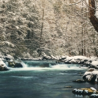 Snowy Greenbrier- Great Smoky Mountains National Park