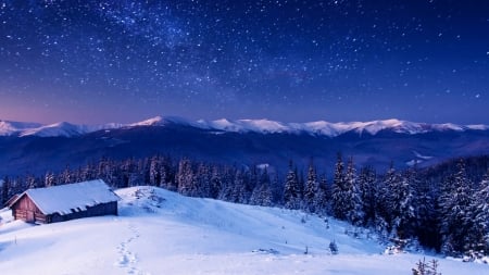 Winter landscape - winter, nature, landscape, snow, scene, night, wallpaper