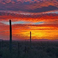 Sunset in the Sonoran Desert of Southern Arizona