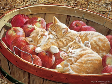 :) - kitten, mar, cute, cat, pisici, painting, pictura, red, fruit, bucket, autumn, apple, persis clayton weirs, sleep