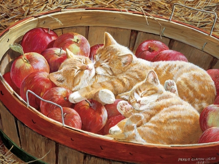 :) - persis clayton weirs, cat, mar, pictura, sleep, kitten, autumn, red, painting, fruit, pisici, cute, bucket, apple