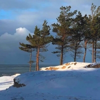 Winter Beach in Latvia