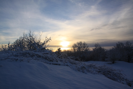 Sunset - nature, snow, sunset, winter