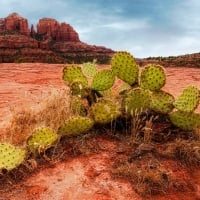 Sedona, Arizona - Cathedral Rock