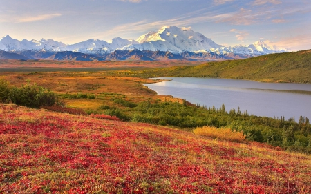 Mount Denali - lake, spring, mountains, sky