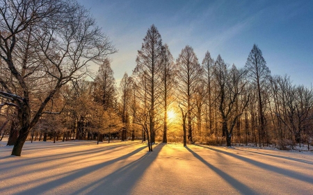 Winter sunrise at Cleveland Metroparks, Ohio