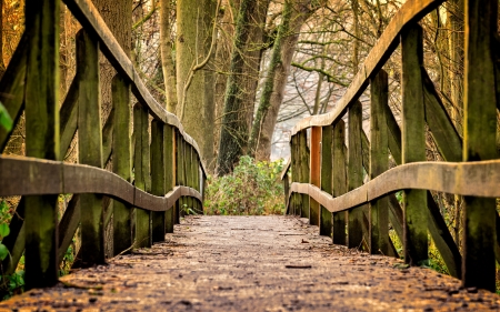 Footbridge - path, footbridge, wood, bridge