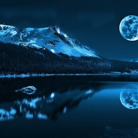 nature at night
