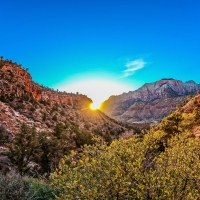 Peeking through. Zion National Park, Utah