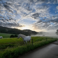 Country Road