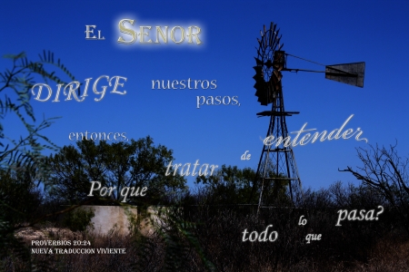 El Senor Dirige Nuestros Pasos - water, stock tank, Bible, bushes, night, windmill