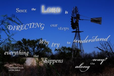 God is Directing - night, windmill, stock tank, bushes, Bible, water