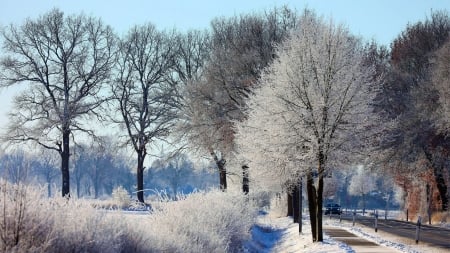 Winter morning - countryside, ice, trees, road, snow, sky