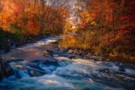 Autumn River - River, Autumn, nature, tree