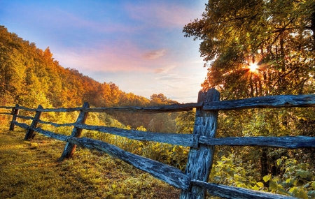 Morning Mountain Glow, Blue Ridge Mountains, Georgia