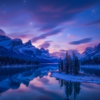 Nightly Nature Reflected