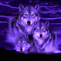 Blue Wolf Fantasy