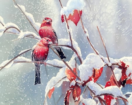 Red Finches - snow, birds, winter, leaves