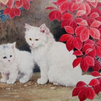 White Cats under red Leaves