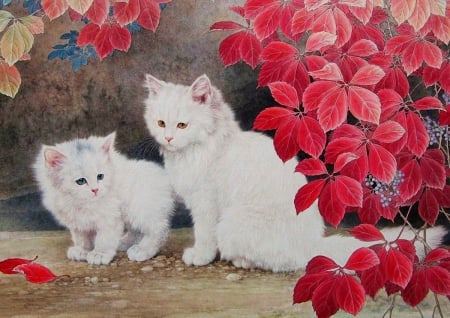 White Cats under red Leaves