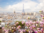 Spring in Paris