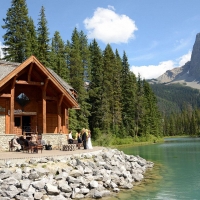 Cilantro On The Lake At Emerald Lake With Mount Burgess Behind In Yoho NP
