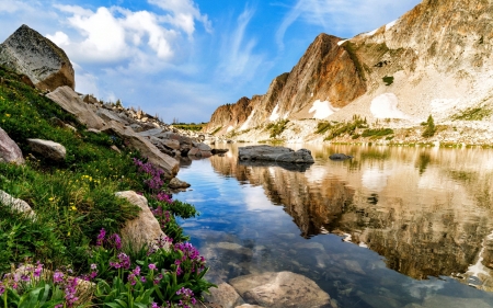 Mountain wildflowers - reflections, summer, beautiful, creek, spring, grass, mountain, wildflowers, cliffs, sky, rocks