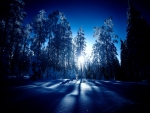 Silvery bridge in Winter, Central Finland