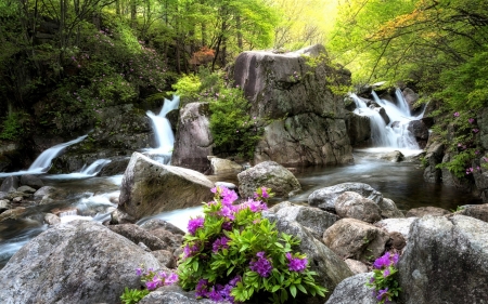 waterfall between rocks - flowers, forest, waterfall, rocks