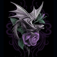 Dragon Beauty