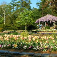 Sarah P. Duke Gardens, North Carolina