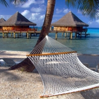 Beach Hammock