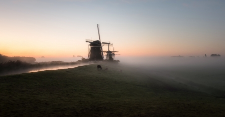 Windmill - morning, architecture, fog, windmill