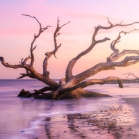 Jekyll Island Sunset, Georgia