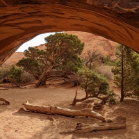 Navajo Arch, Utah