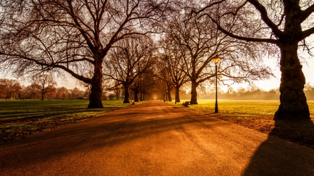 Battersea Park, London - morning, sunlight, lley, sunrise, england, shadows, benches, trees, alley