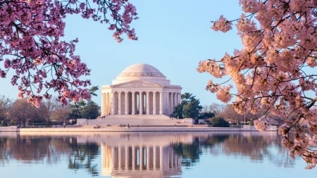 Springtime at Jefferson Memorial - usa, reflections, blossoms, water, Washington DC, cherry, sky