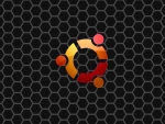 ubuntu hex